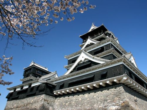 kumamoto cas.jpg
